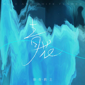 摄像头 间谍 隐 Tube年轻
